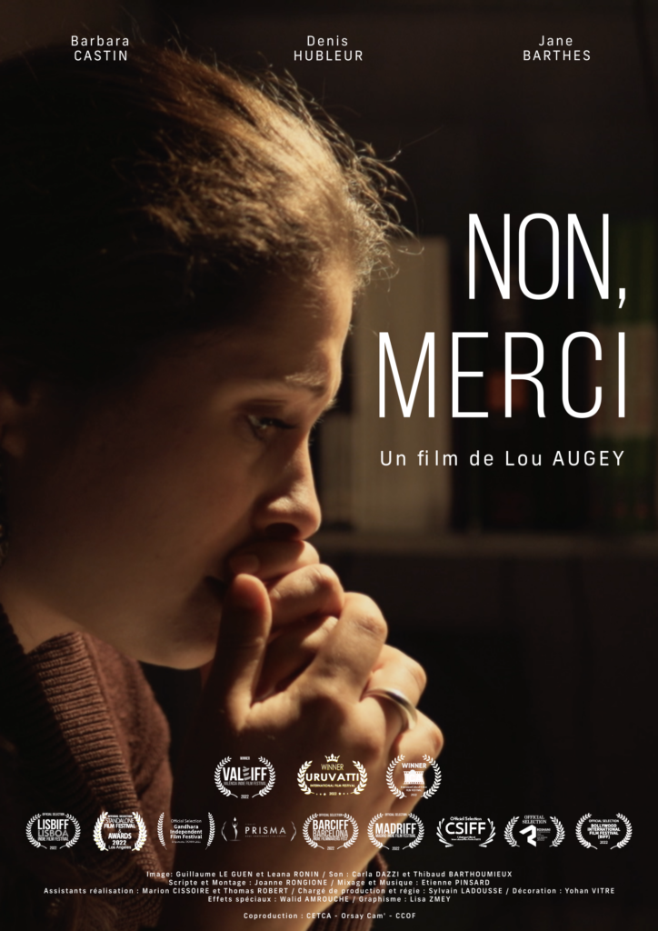 Affiche du fllm "Non, merci"